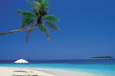 Caribbean Beach Wallpapers 163202