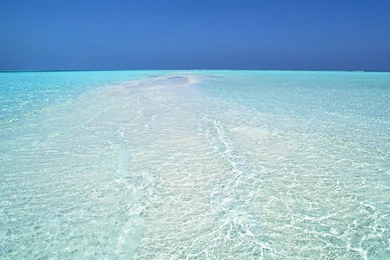 Beach Resort Caribbean Ach Resort Enities