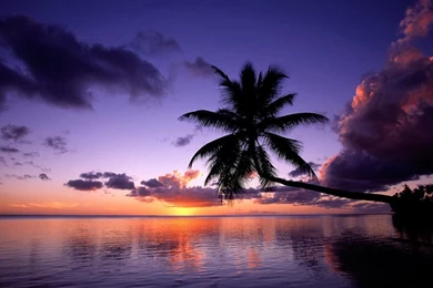 Wallpapers For Tablet PC Samsung Galaxy Tab 1280x800