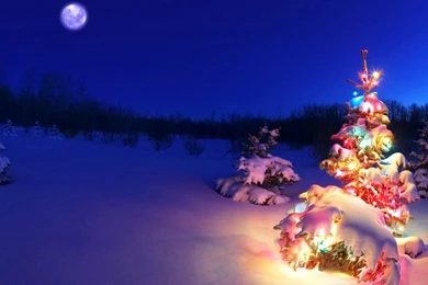 Easy Steps To Find Animated Christmas Wallpapers Free Download ...