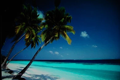 Caribbean Beach By Dilworthe On DeviantArt