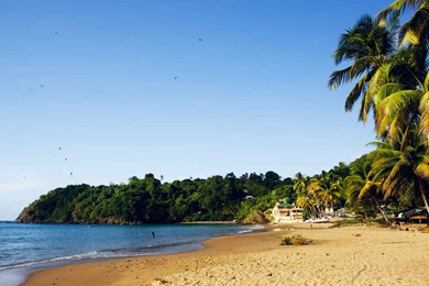 Caribbean Wallpapers Wednesday: The Uncommon Allure Of Castara ...