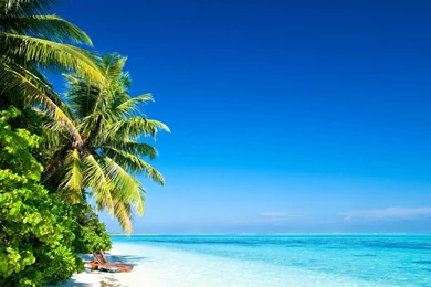 Tropical Beach   Nexus Wallpapers