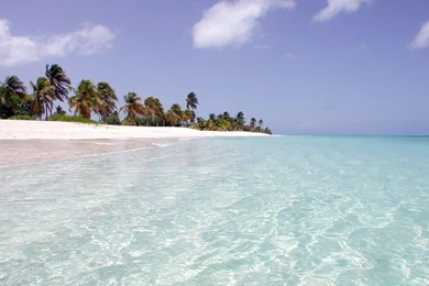 Caribbean Beach (id: 30814) – BUZZERG