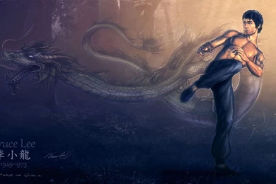 Martial Arts HD Wallpapers