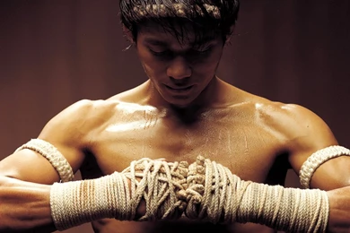 Collection Of Some Best Martial Arts Wallpapers   All HD Wallpapers