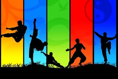 Beautiful Martial Arts Wallpaper.jpg