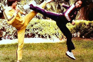 Martial Arts Wallpapers Free Download Wallpapers   Free Martial ...