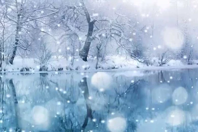 Let It Snow Animated Wallpapers Http://www.desktopanimated.com ...