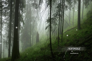 Animated Snow Wallpapers Download