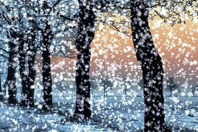 Winter Snow Wallpapers Animation 473078
