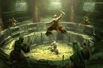 Mixed martial arts wallpaper image vGxo.jpg