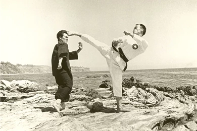 Karate Highkick Roundhouse Martial Arts