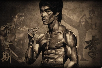 Martial Arts Wallpapers   Wallpapers Cave