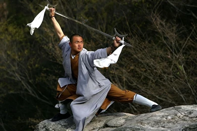 Martial Arts Wallpapers Free Download Wallpapers   Free Martial ...