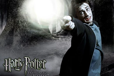 Harry Potter And The Prisoner Of Azkaban   Harry James Potter ...