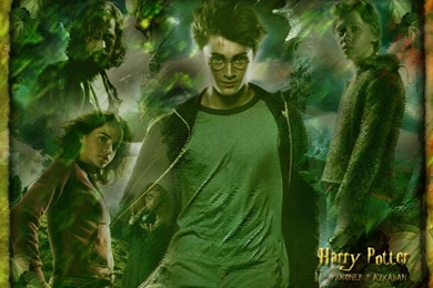Harry Potter   Movie Wallpapers   Crazy Frankenstein