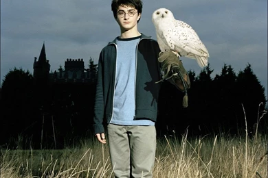 The Movie   Prisoner Of Azkaban Wallpapers (31843747)   Fanpop