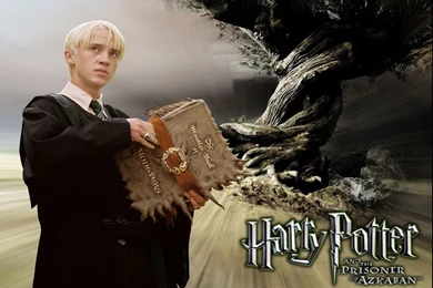 Harry Potter Wallpapers   Photo 64 Of 77