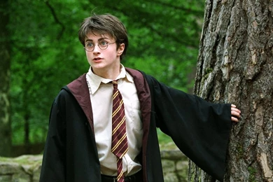 The Movie   Prisoner Of Azkaban Wallpapers (31843467)   Fanpop