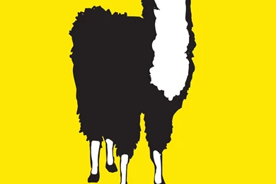 FREE DOWNLOAD: Save The Drama For Your Llama Poster : Front + Main