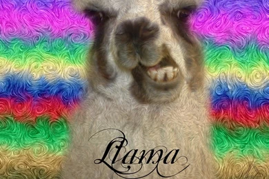 Kelly Blog: Llama Backgrounds