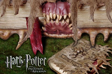 Prisoner Of Azkaban   Harry Potter Wallpapers (76487)   Fanpop