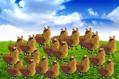 The Llama Bliss Wallpapers By Fadlycms On DeviantArt