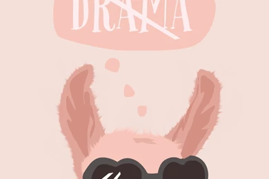 No Drama Llama Wallpapers