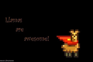 Llama Wallpapers By Rafaella schumann On DeviantArt