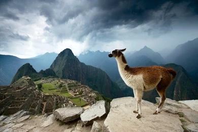 Machu Picchu HD Wallpapers