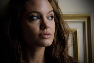 Angelina Jolie Wallpapers HD 4000 1920 X 1200   WallpaperLayer.com