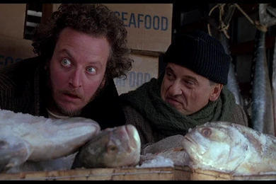 Blu News: Home Alone 2: Lost In New York Blu ray Review