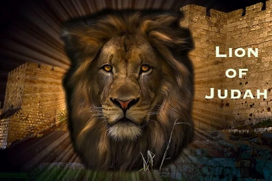 Pic > Free Pictures Of Lion Of Judah