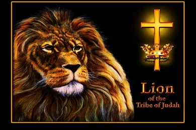 Wallpaper: Lion Of The Tribe Of Judah.