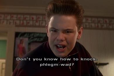 Home Alone Quotes. QuotesGram