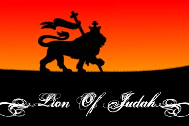 Browsing Customization On DeviantArt