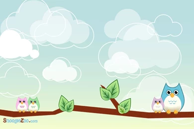 Cute Bird Wallpapers