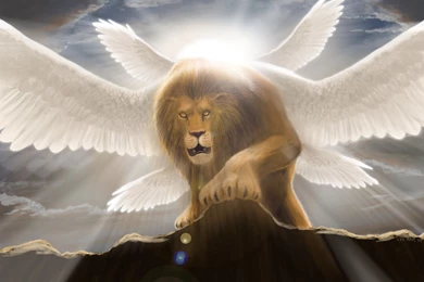 The Lion By LDN RDNT On DeviantArt