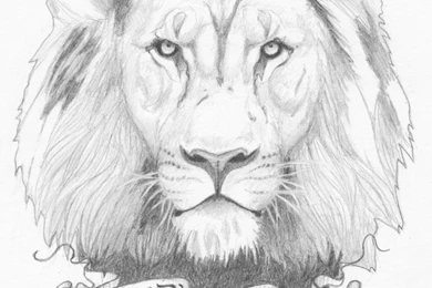 Lion Of Judah By Guntherzero On DeviantArt