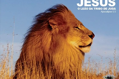 Lion Of Judah Wallpapers   Christian Wallpapers And Backgrounds