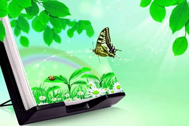 3D Wallpapers HD Nature 3d Butterfly Wallpapers Free Download For ...