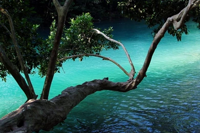 Free download nature wallpaper.jpg