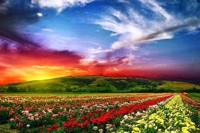 Nature Wallpapers Hd Download Free For PC   Wallpapers HD Fine