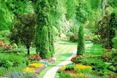 3D Nature Wallpaper 7 600x500.jpg