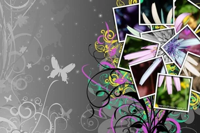 Wallpapers Collage Flower By LorenzoDiFolco On DeviantArt