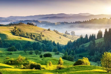 Download HD Green Mountains Grass Field Summer Day Wallpapers ...