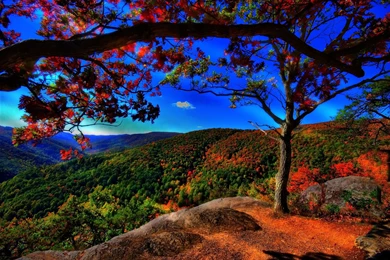 Autumn On The Mountain Blue Sky Nature HD Wallpapers