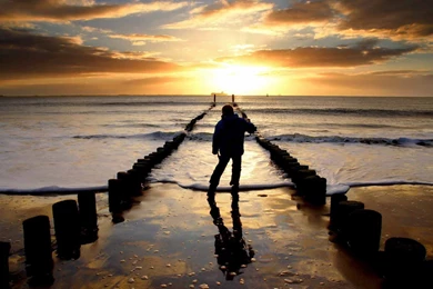 Cibankono: Loneliness HD Wallpapers