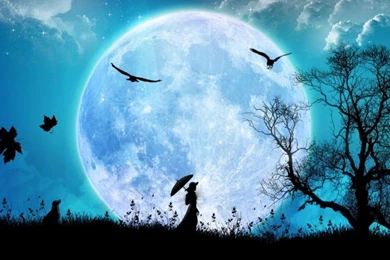 Hd Images Of Loneliness